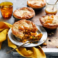 Tikka Masala Vegetarian Pies